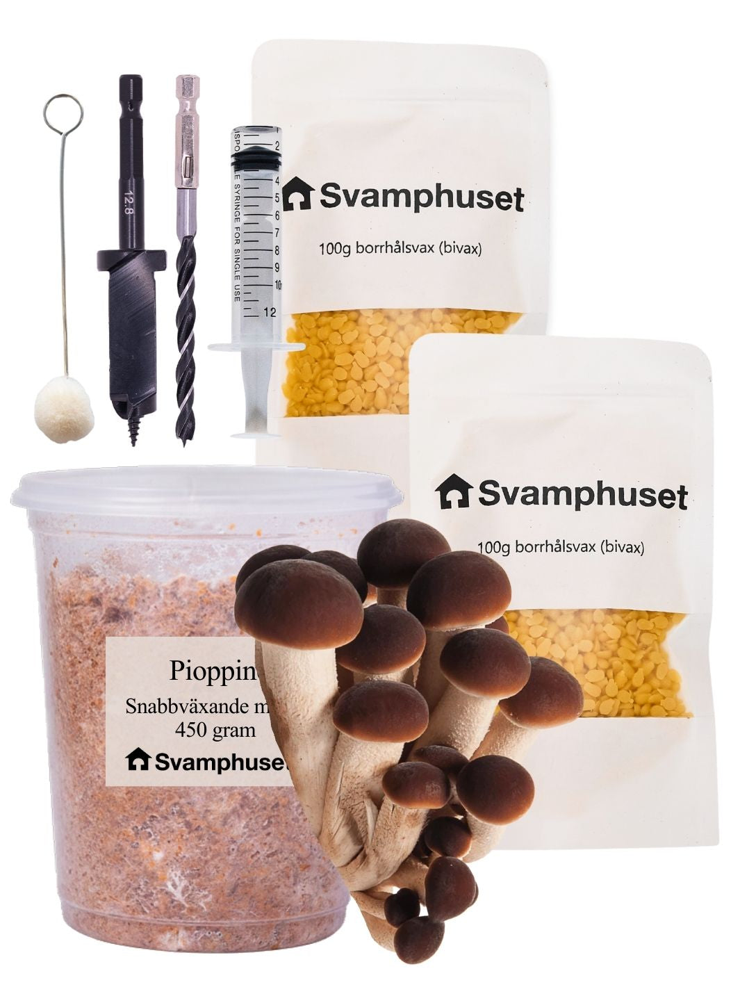 Pioppino - Stockodlings-kit Stockodlingskit Snabbväxande Min butik   