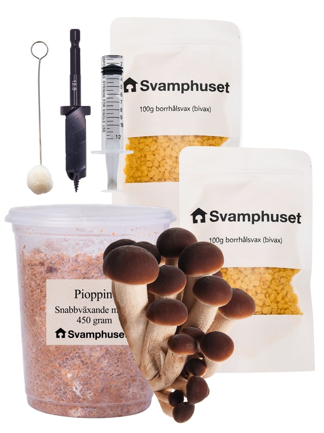 Pioppino - Stockodlings-kit Stockodlingskit Snabbväxande Min butik