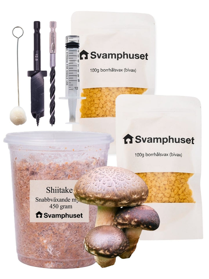 Shiitake - Stockodlings-kit (Lentinula edodes) Stockodlingskit Snabbväxande Min butik   