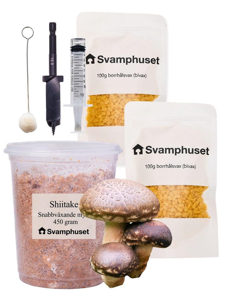 Shiitake - Stockodlings-kit (Lentinula edodes) Stockodlingskit Snabbväxande Min butik