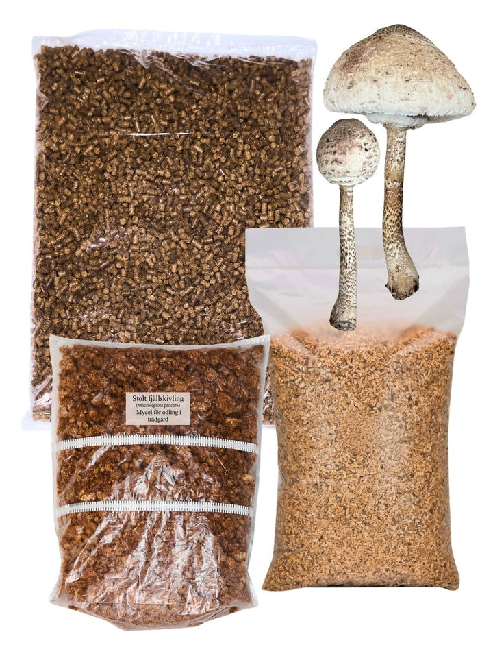 Stolt fjällskivlings-kit för trädgårdsodling Trädgårdsodling Min butik   